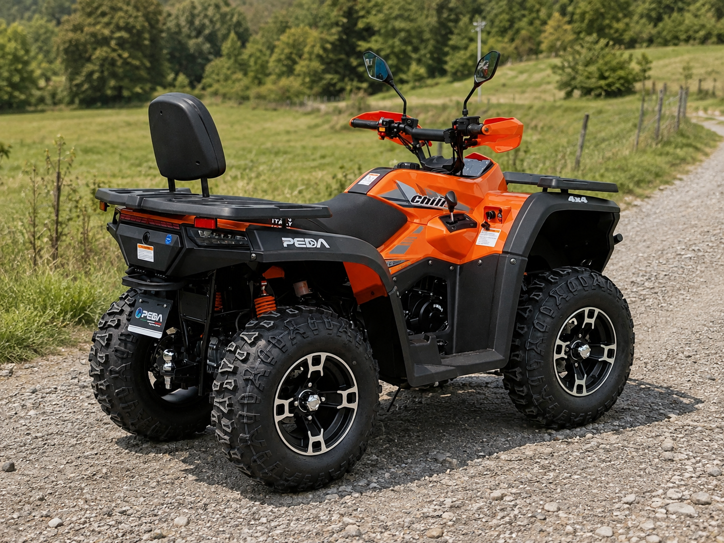 PEDA ATV CHILI 300 4X4 fotografija 03