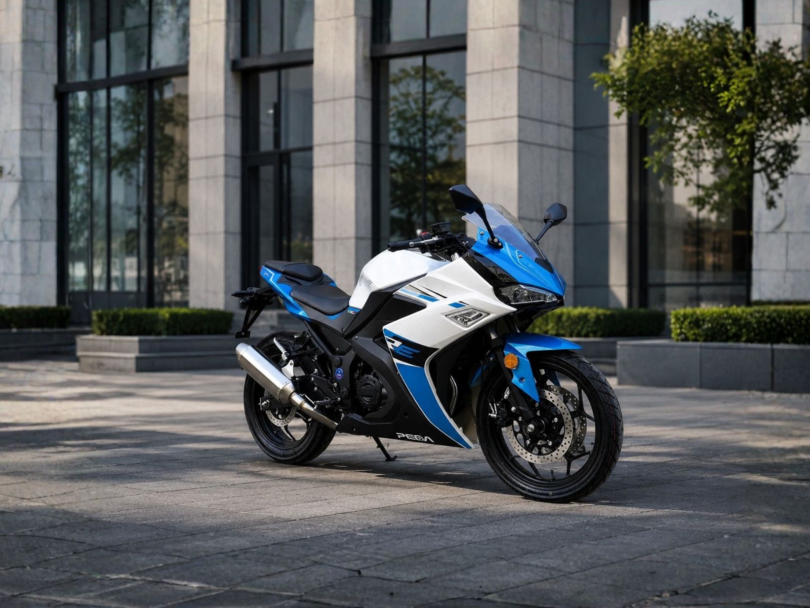 PEDA Pro XT 125 i 250